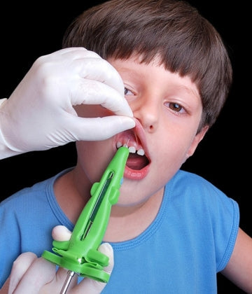 Syringe Sleeve - Alligator