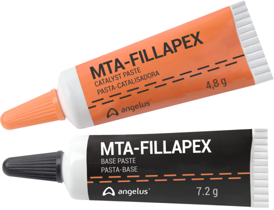MTA Fillapex