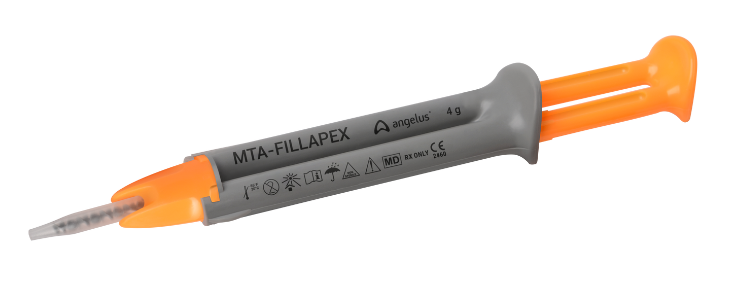 MTA Fillapex