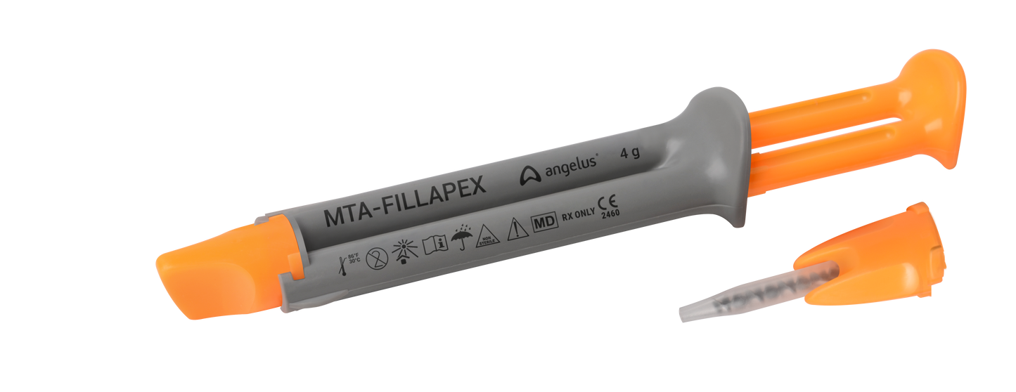 MTA Fillapex