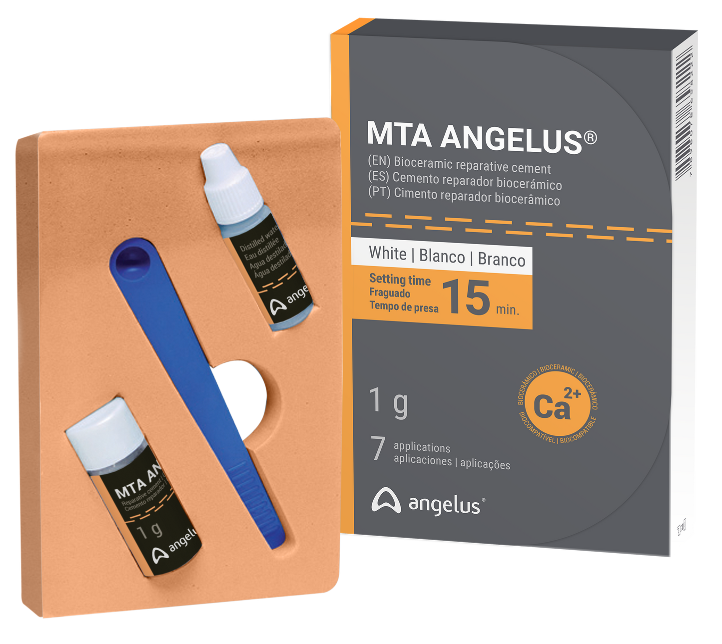 MTA Angelus