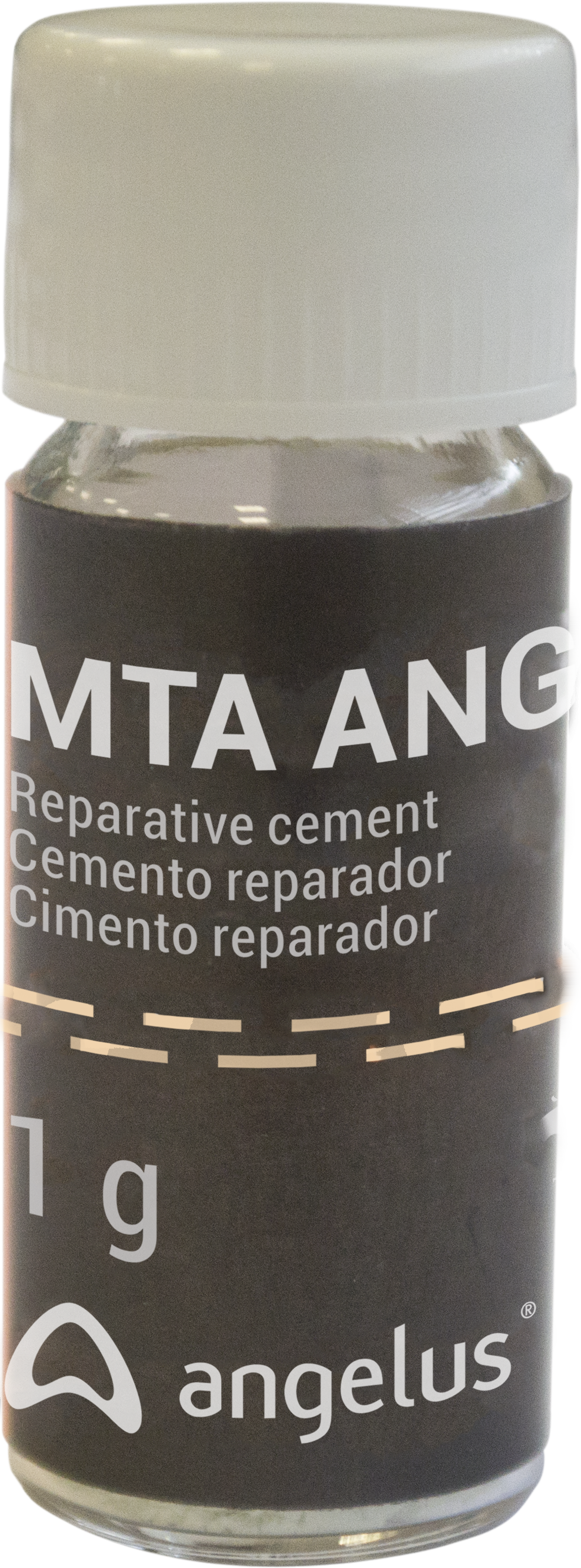 MTA Angelus